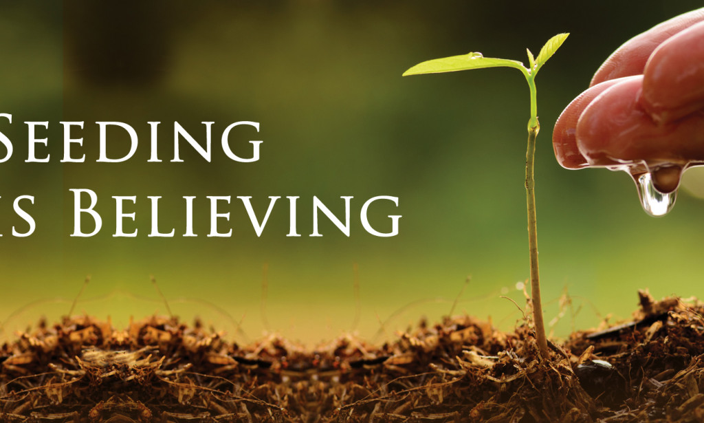 Seeding chỉ làm đẹp thôi - làm gì hỗ trợ thúc đẩy đơn hay chốt đơn